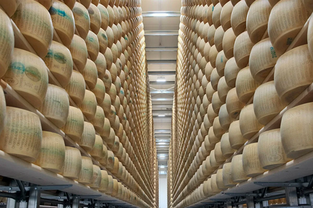El banco del queso parmesano y cómo el cambio climático amenaza su maduración