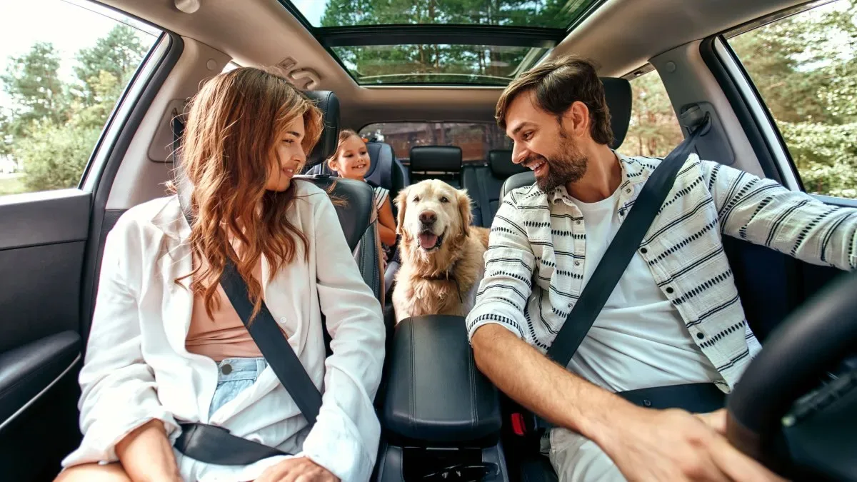 Escapadas pet‑friendly a menos de 200 km de Buenos Aires: destinos y costos