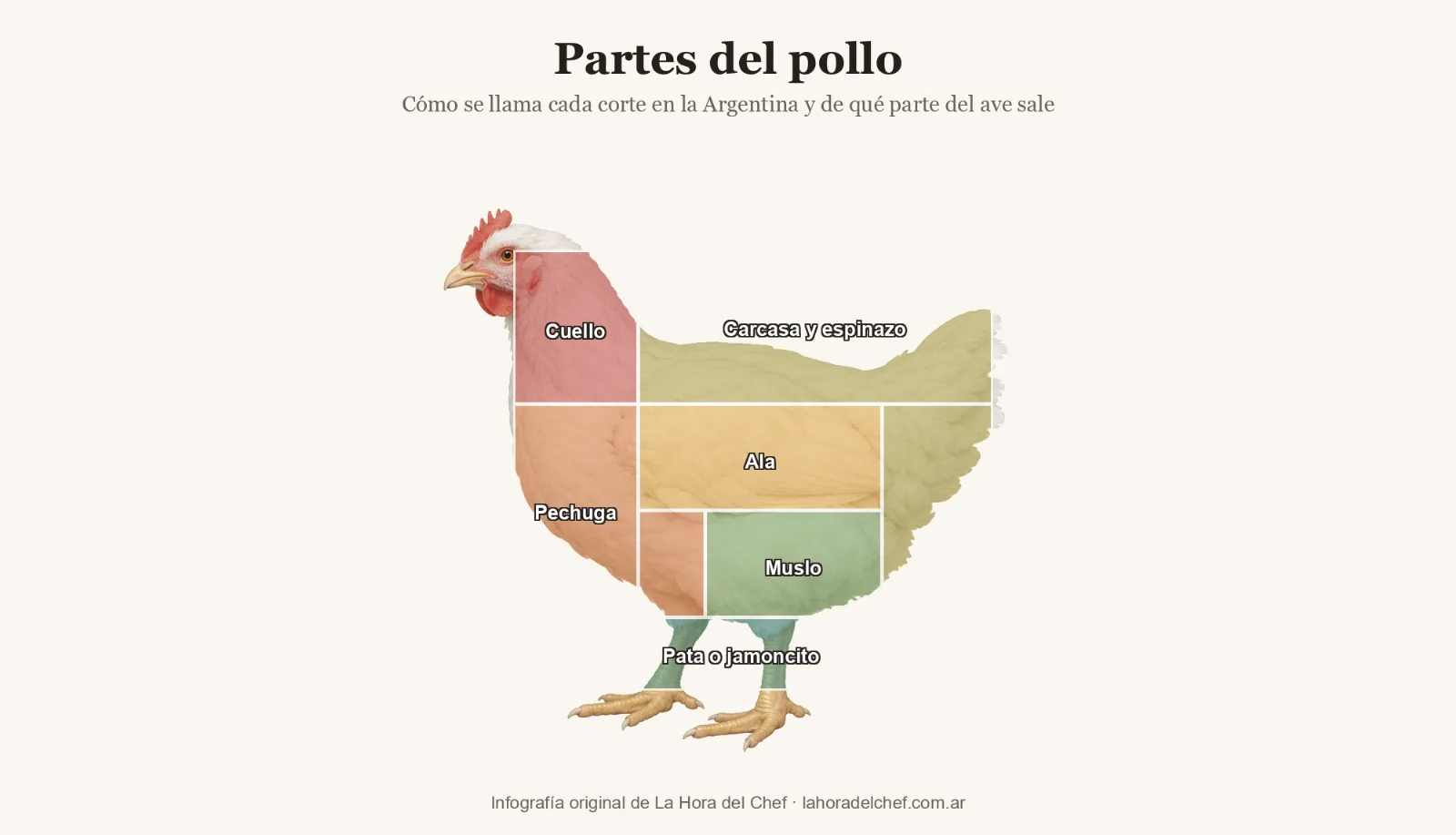 Partes del pollo: infografía de cómo se llama cada corte y para qué sirve